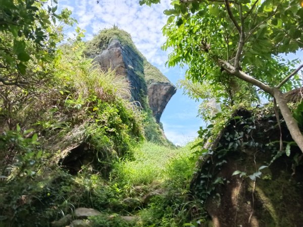 瑞芳區海園古道+鼻頭港稜+鼻頭山稜O型2872779