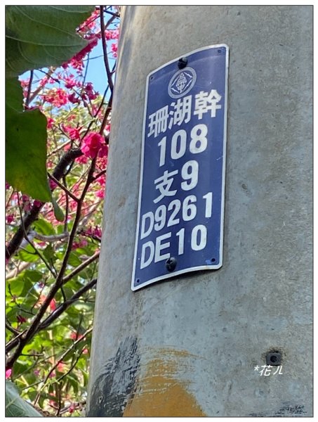 老崎古道、老崎坪頂山 (頭份)2737170