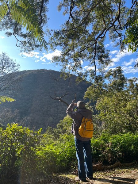 幸福五感森林癒2694313