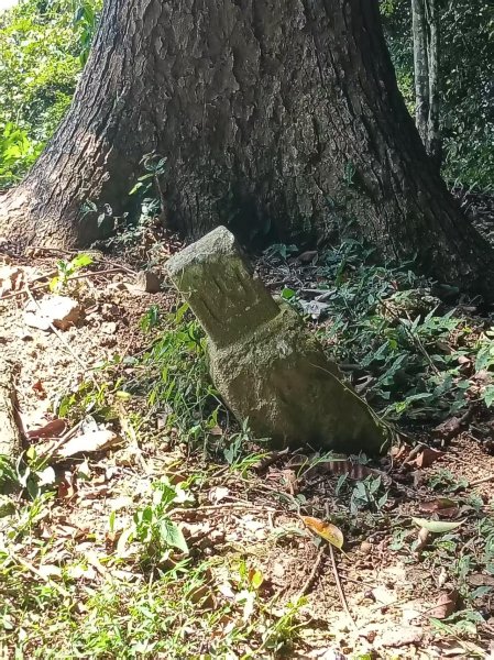 國姓「鋤頭盤山」山字森林三角點3131509