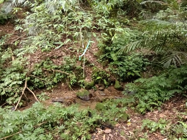 平溪區平溪子山遇雷雨O型2850096