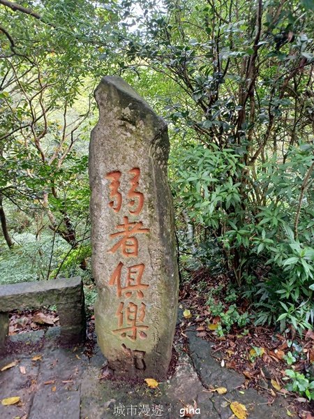 【新北五股】登高望遠。 No5小百岳~硬漢嶺步道 (觀音山)2501761