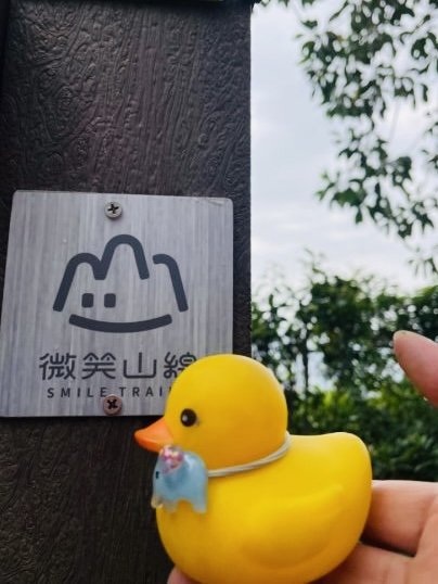 微笑山⛰️線-大棟-二格山-五分山-天上山-鳶山💎12條步道完成💙2841378