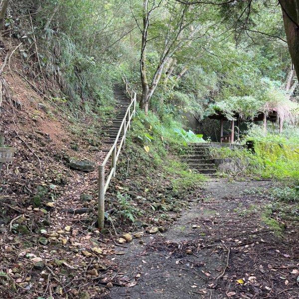 20230924_大湖尖山、大凍山（嘉義縣小百岳）2762731