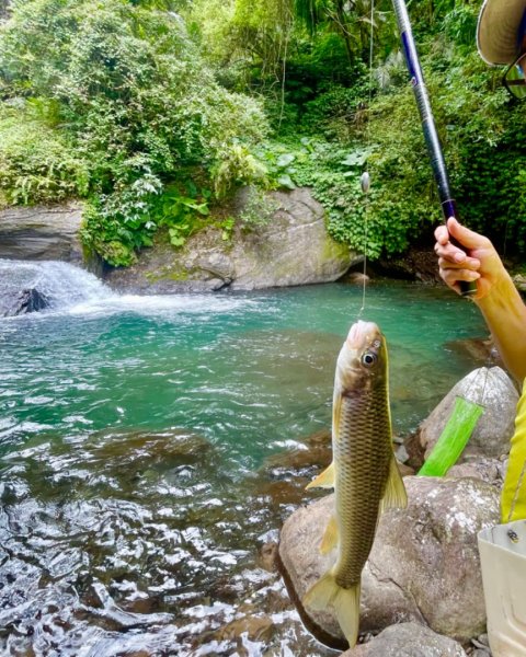 紅河谷越嶺-加九寮秘境💙露營⛺️釣魚趣2817747