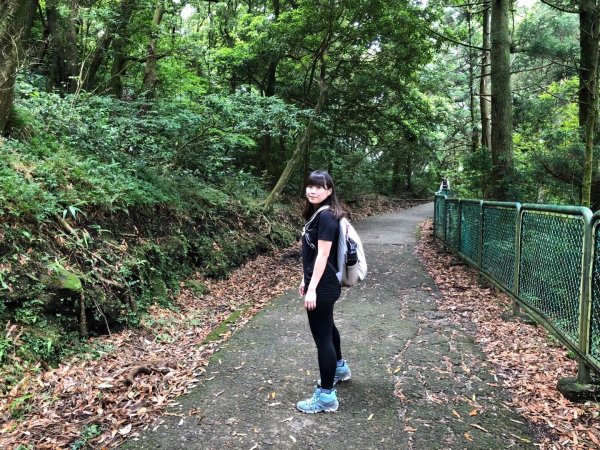 夢幻湖步道592372