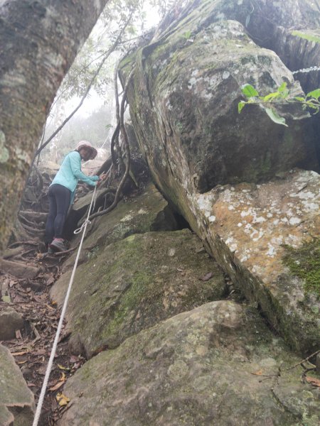 小百岳(32)-向天湖山-202110301674136