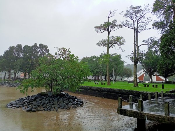 大湖公園 (防災公園)【走路趣尋寶，全臺齊步走】1895261