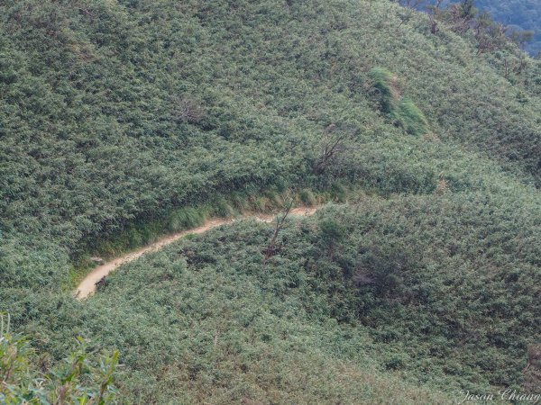 [宜蘭]五峰旗-聖母山莊-三角崙山820497