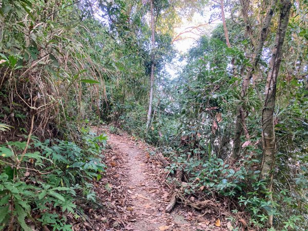 九份二山登山步道2688035