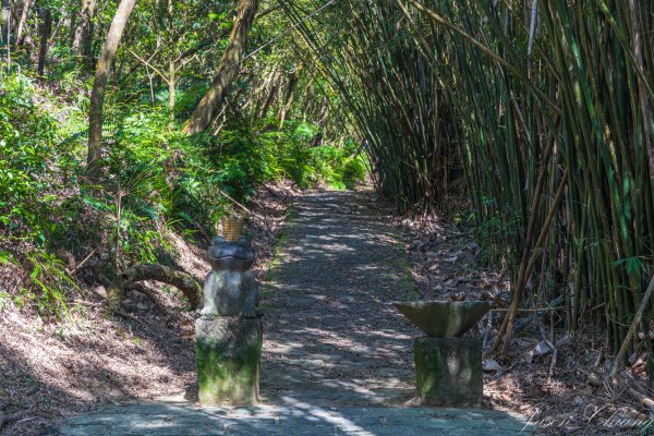 [台北]大崙頭山、碧山巖、忠勇山2746149