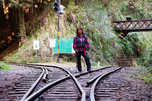 傳說中的眠月線舊鐵道浪漫且復古哦805333