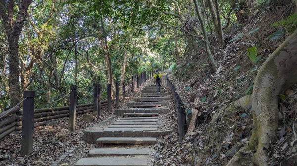 三汀山｜咬人狗坑登山步道2401179