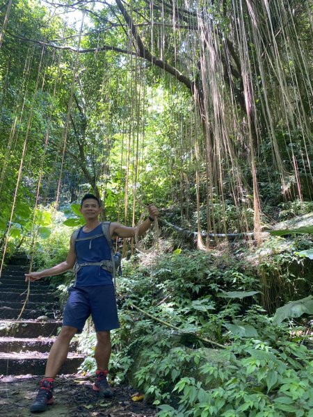 九寮溪自然步道.梅花湖環湖步道2599729