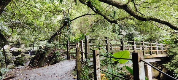 新竹內灣．馬胎古道202506212823504