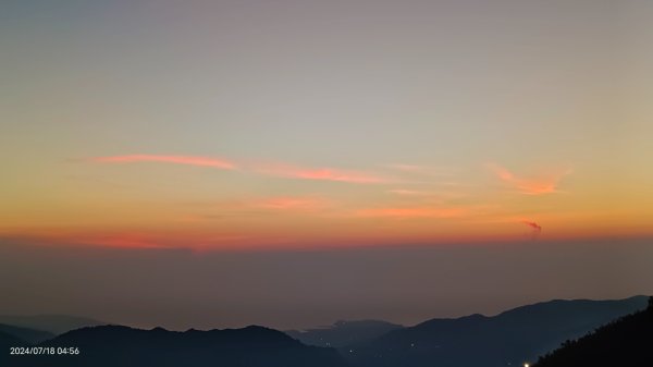 雲山水花鳥蝶 - 天龍國阿伯的日常7/18 & 21、22、292553967