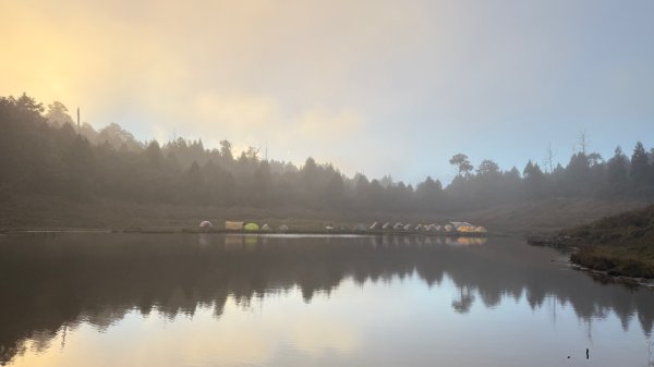 穿羅紗的「加羅湖」2943927