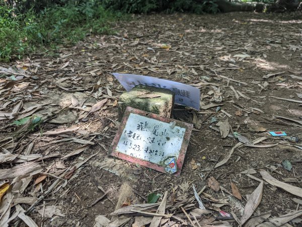 冷門的鵝尾山步道。熱門的坪頂古圳1766067