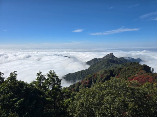 鳶嘴稍來山之楓紅／雲海2974050