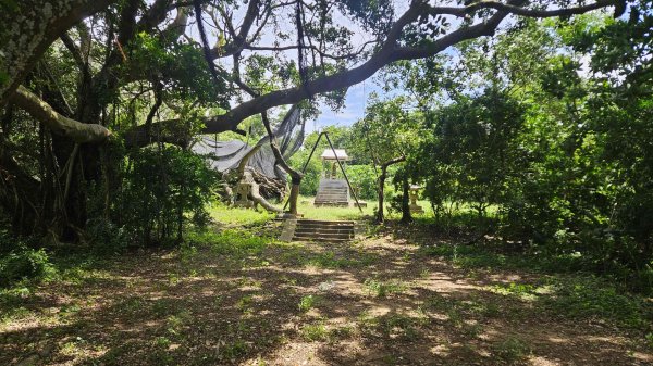 20250616崎頂子母隧道-南十八尖山-日出神社遺址-青草山2814278