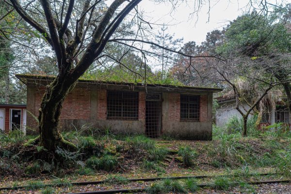 眠鐵隧道，日月靜好2970142