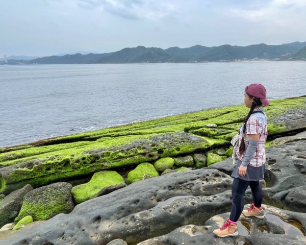 老梅綠石槽-萬里駱駝峰2759032