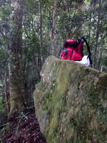 大坪林道之紅毛山無名山Ｏ型走1841917