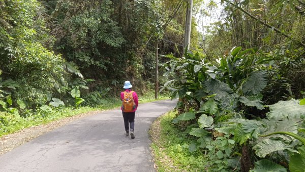 (姨婆趴趴走)第五十集:新北樹林大同山、青龍嶺、大棟山諸峰連走2751632