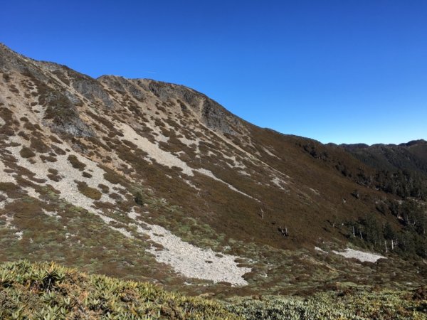2020元旦雪山主東單攻 積雪現況封面