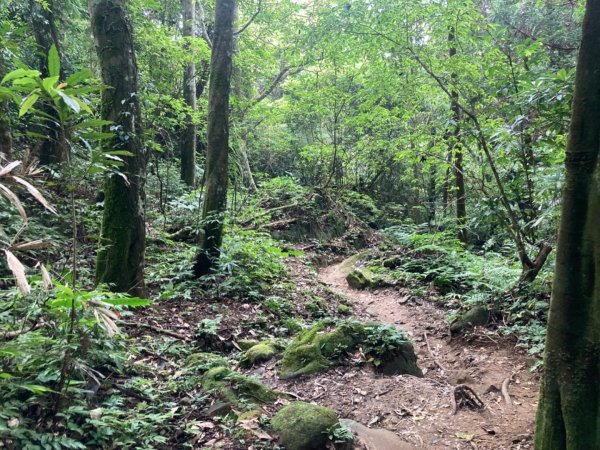 五指山登山步道2293201