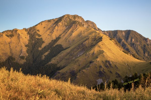 大小劍-油婆蘭全紀錄2674279