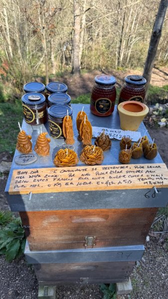 蒙德戈人行橋：葡萄牙🇵🇹2776886