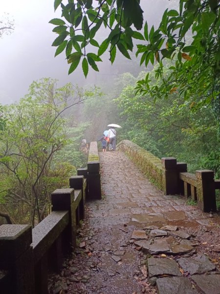 走遍陽明山2301769