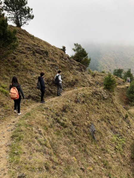 塔塔加 鹿林山步道527037