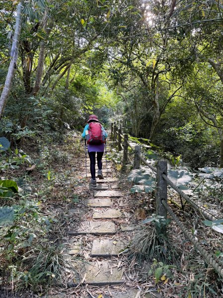 女仍山+帽子山O繞 202602273009547