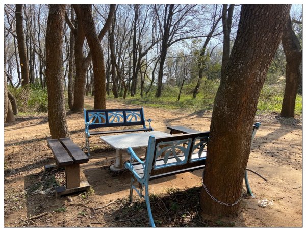 老崎古道、老崎坪頂山 (頭份)2737168