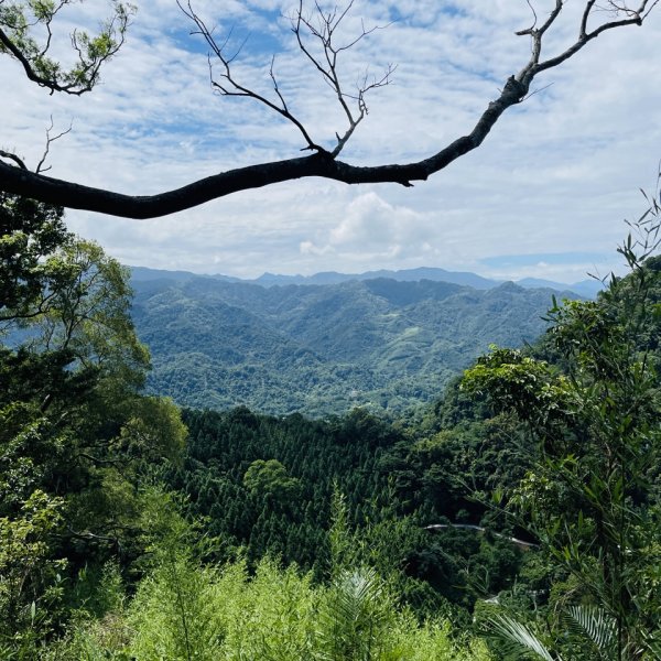 1140618鳴鳳古道｜錫隘-雲洞宮2815379