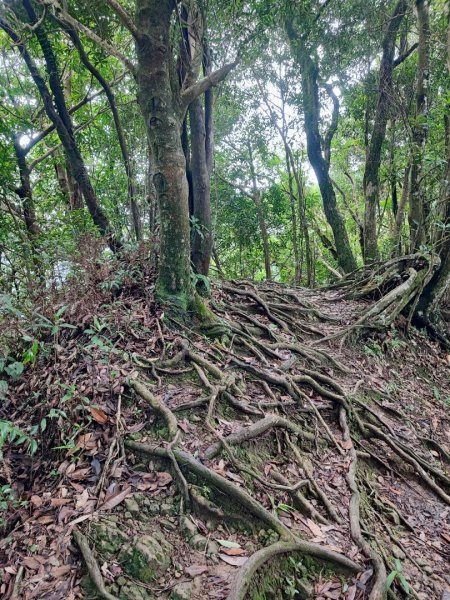 二格山-小百岳#17-台北市文山區2248458