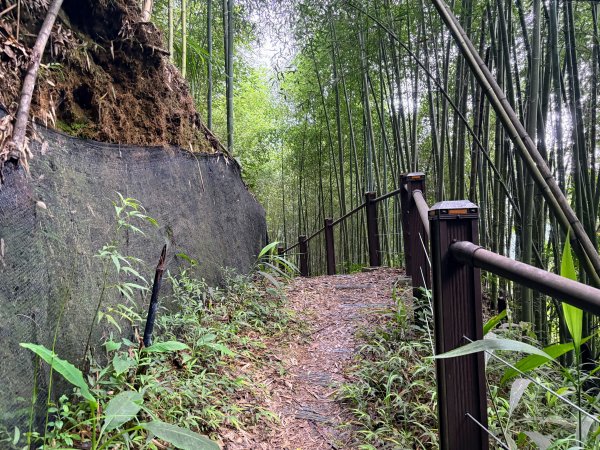 白蘭溪古道2846933