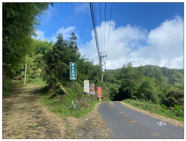 樟空倫山、大崙頭山、貓冬望山、民眾坪山 連走2839036