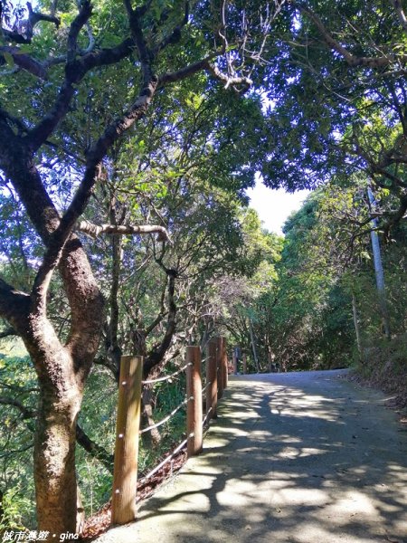 跟著土地公指標趣味走~大里金螢寶山貴妃道1299087