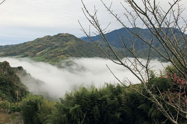 馬那邦山(珠湖線來回)375001