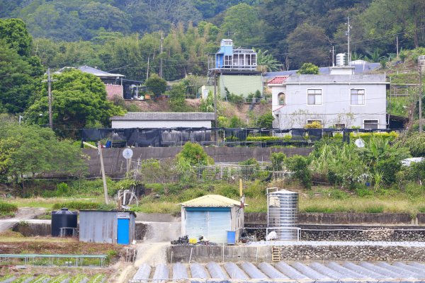 樟之細路縱走：彼岸橋至石門客棧1472908