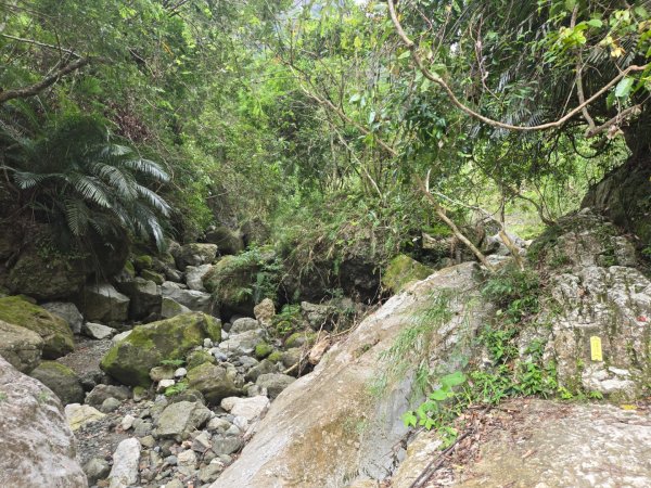 麻荖漏步道、彩虹瀑布2697935