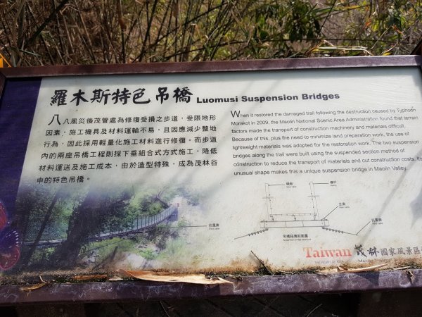 羅木斯步道1018537