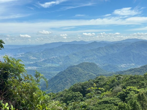 大崙頭山走到大崙尾山2263390