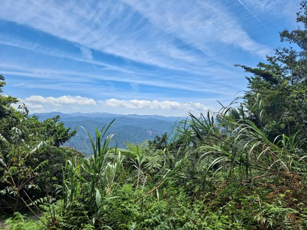 20230911淡蘭古道中段：五分山步道-暖東舊道2446784