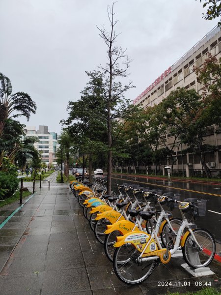 大港墘公園、撫順公園、花博公園圓山園區、新北歡樂耶誕城2651234