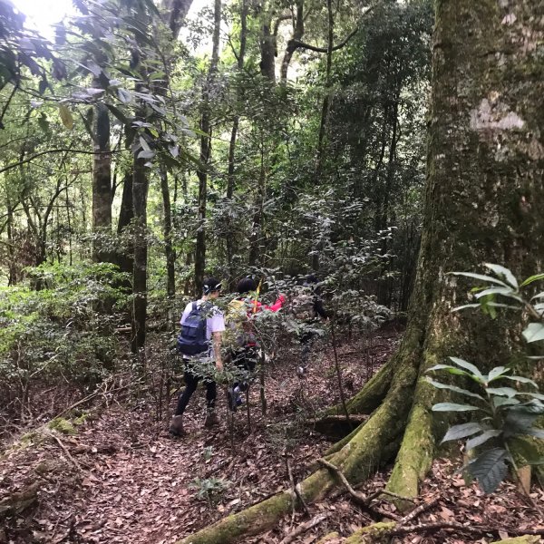 埔里六秀、中部四大名山:守城大山         隊名:鯛魚燒埔里訓練1506110