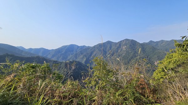 240316-谷關七雄-唐麻丹山(老七)。美美兔進山捉熊去。240316-谷關七雄-唐麻丹山(老七)2457413